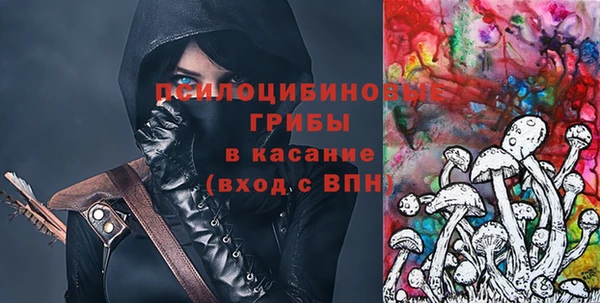 гидра Семёнов