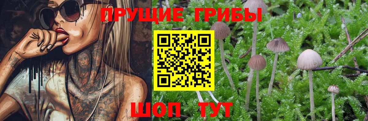 Галлюциногенные грибы мухоморы Ахтубинск