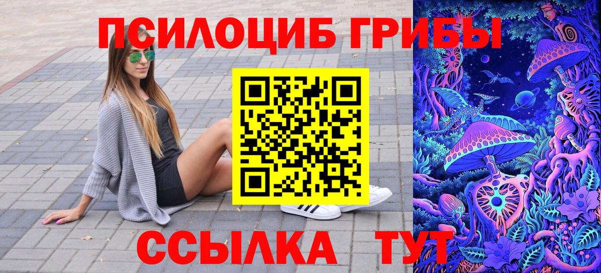Ахтубинск  Галлюциногенные грибы Psilocybine cubensis  Вход с VPN 